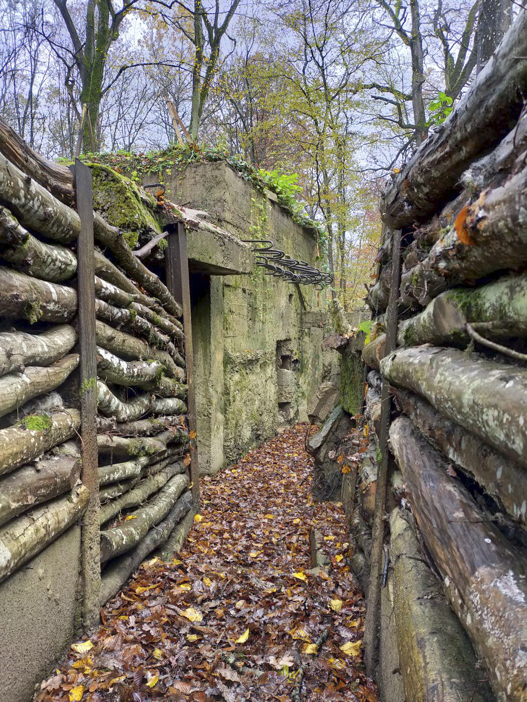 Ligne Maginot - CB447 - BOIS KARRE 2 - (Blockhaus pour arme infanterie) - Accès au blockhaus. - Julien Boulanger