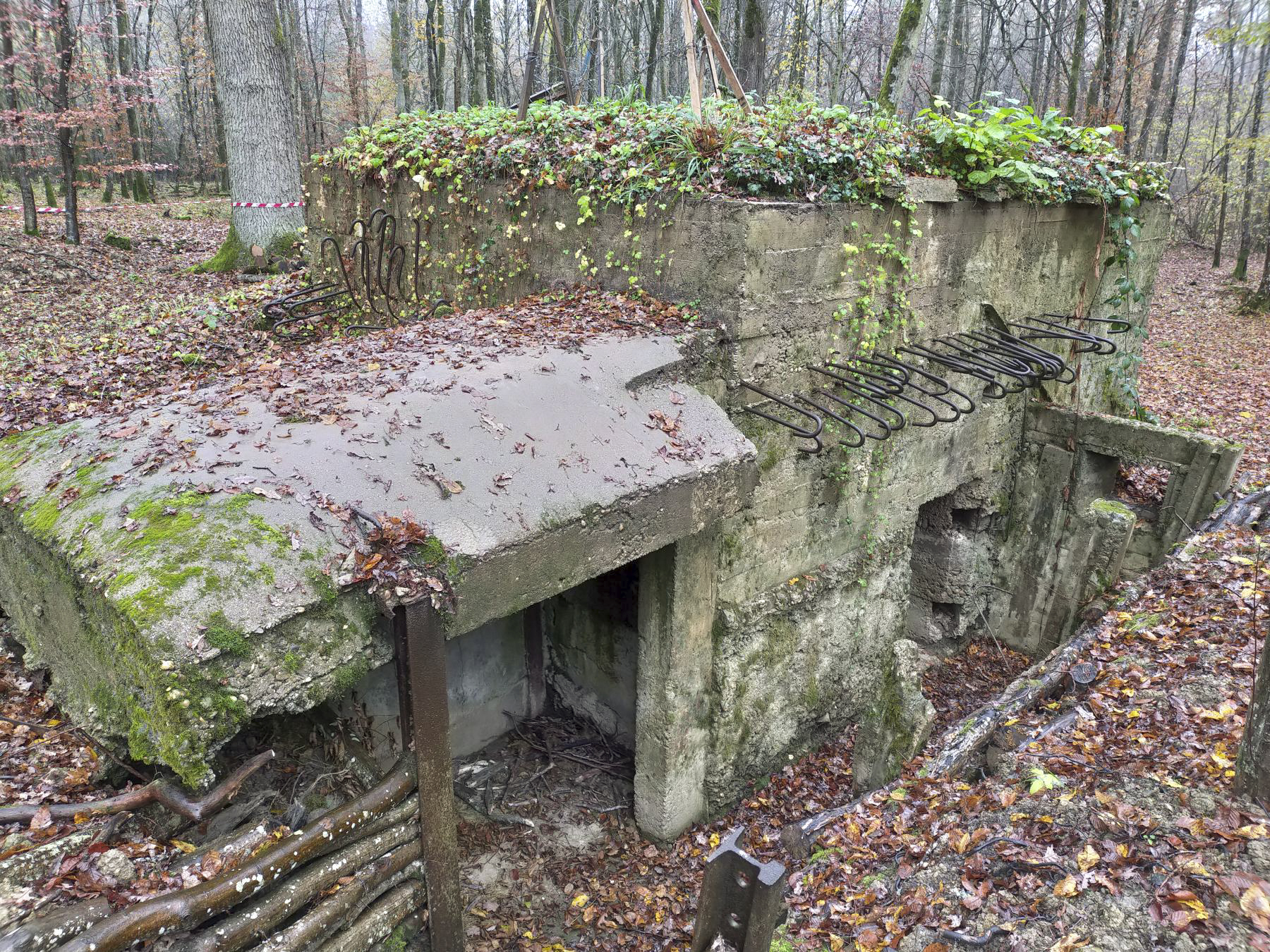 Ligne Maginot - CB447 - BOIS KARRE 2 - (Blockhaus pour arme infanterie) -  - Julien Boulanger