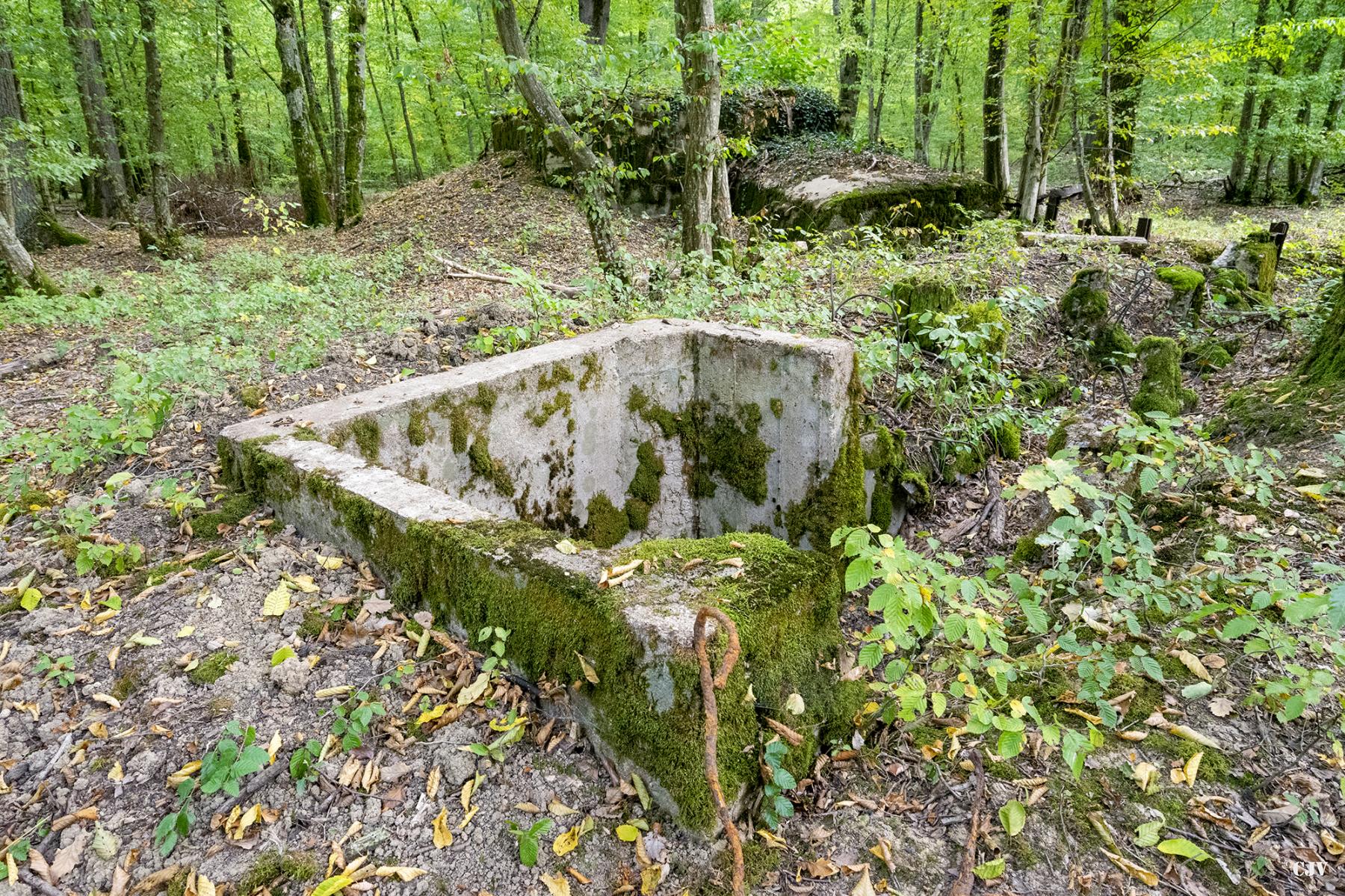 Ligne Maginot - CB447 - BOIS KARRE 2 - (Blockhaus pour arme infanterie) -  - Lia VERMEULEN