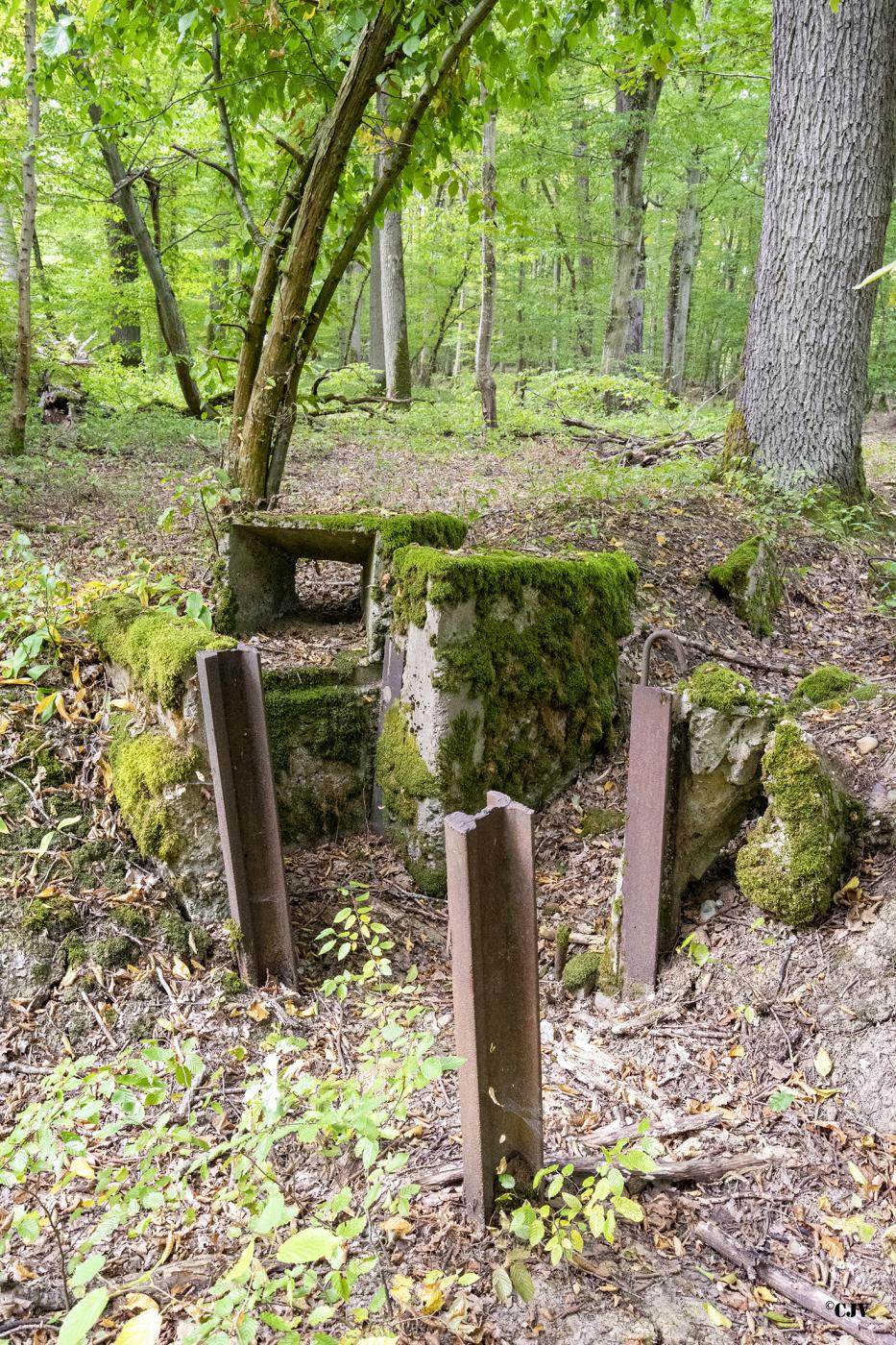 Ligne Maginot - CB447 - BOIS KARRE 2 - (Blockhaus pour arme infanterie) -  - Lia VERMEULEN