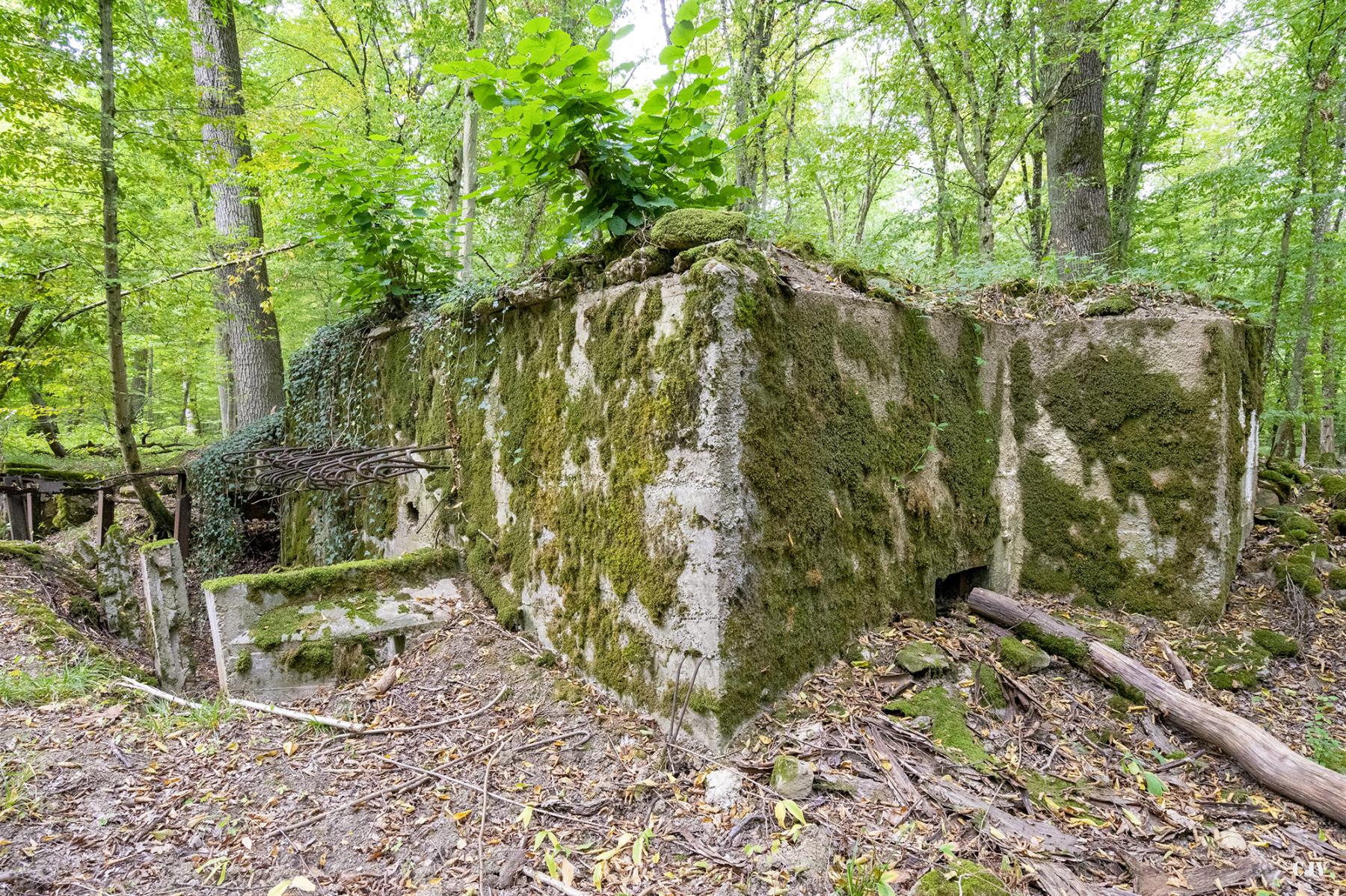 Ligne Maginot - CB447 - BOIS KARRE 2 - (Blockhaus pour arme infanterie) -  - Lia VERMEULEN