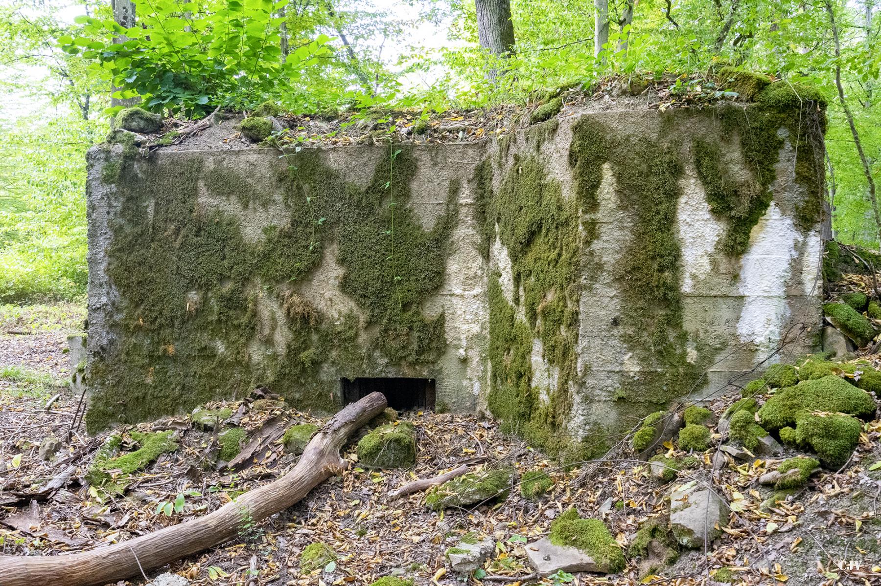 Ligne Maginot - CB447 - BOIS KARRE 2 - (Blockhaus pour arme infanterie) -  - Lia VERMEULEN