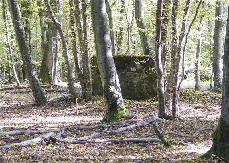 Ligne Maginot - CB447-A - BOIS KARRE 1 - (Blockhaus pour arme infanterie) - 