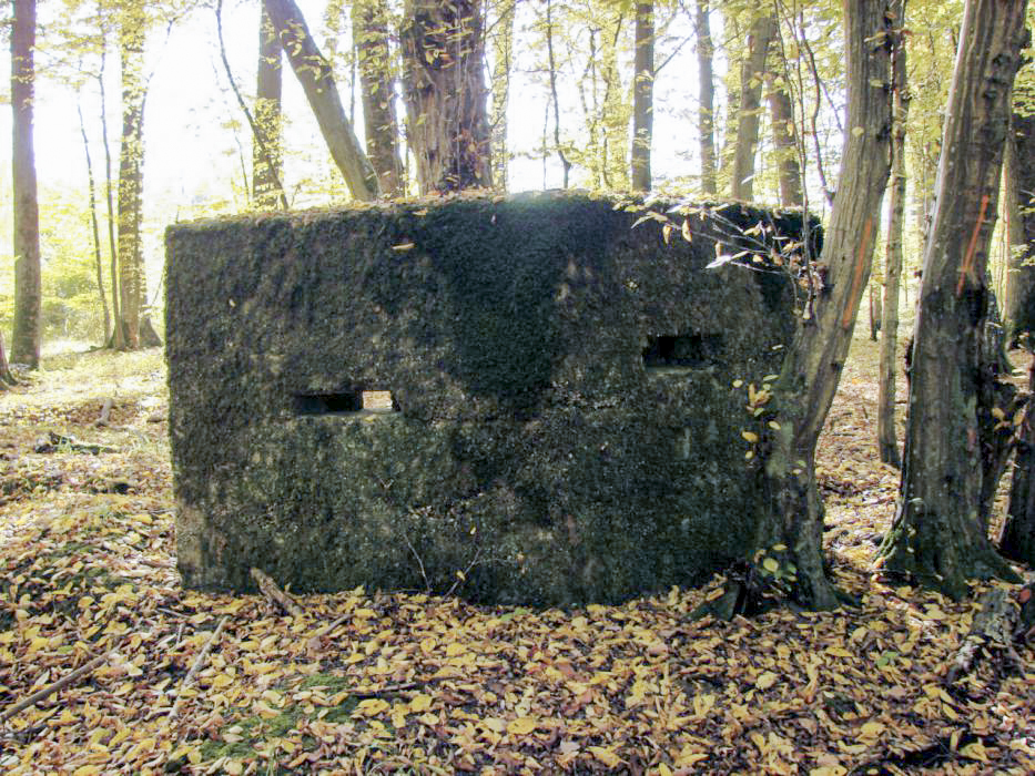 Ligne Maginot - CB447-A - BOIS KARRE 1 - (Blockhaus pour arme infanterie) - Vue de la façade