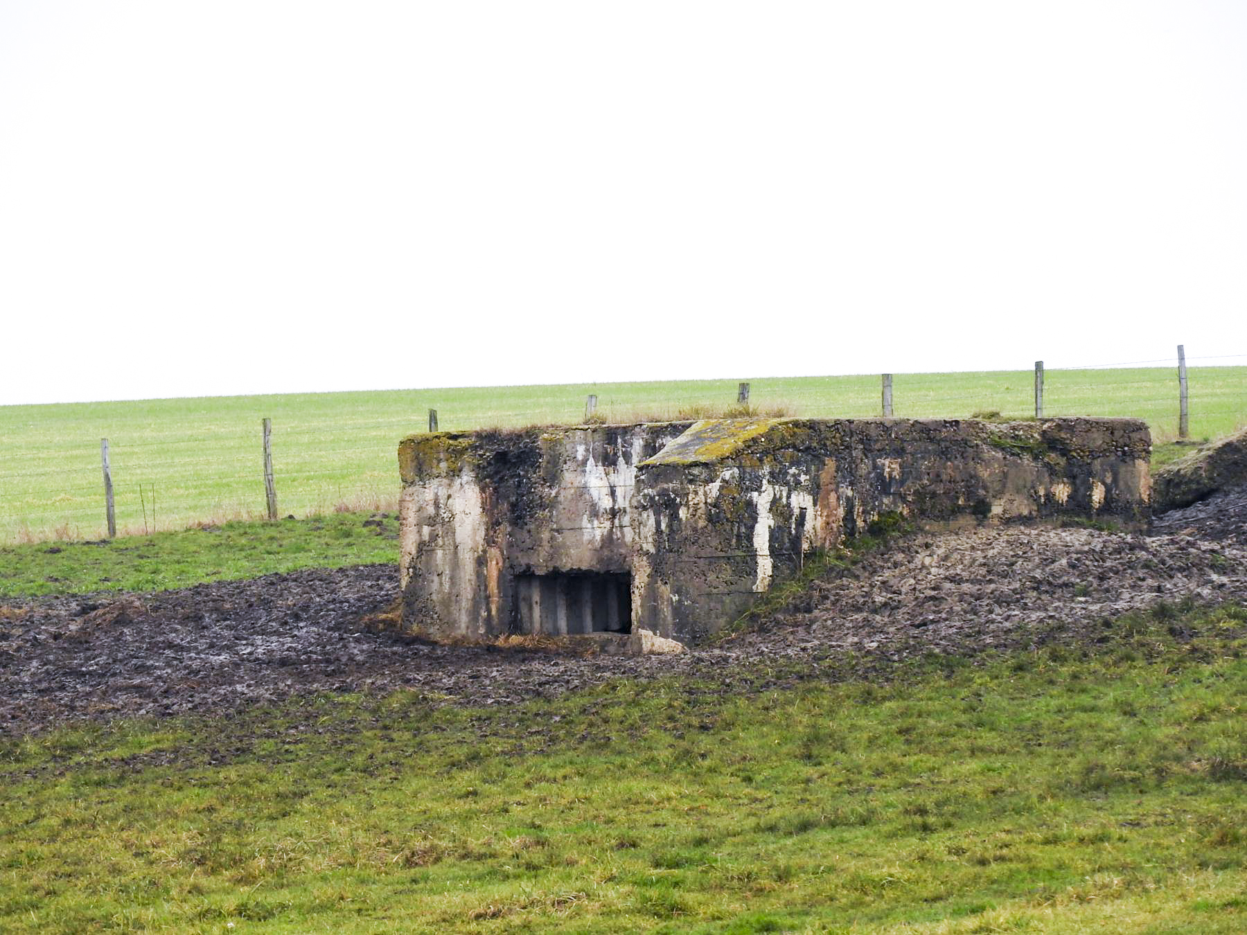 Ligne Maginot - SEYBERG 1 - (Blockhaus pour canon) - La façade avant du blockhaus.