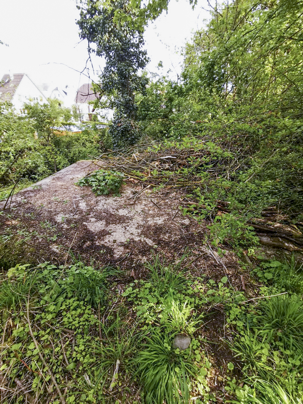 Ligne Maginot - B1593 - RICHARDSHAEUSER 2 - (Blockhaus pour arme infanterie) - Vu du dessus, le reste du blockhaus est enfoui sous terre.
