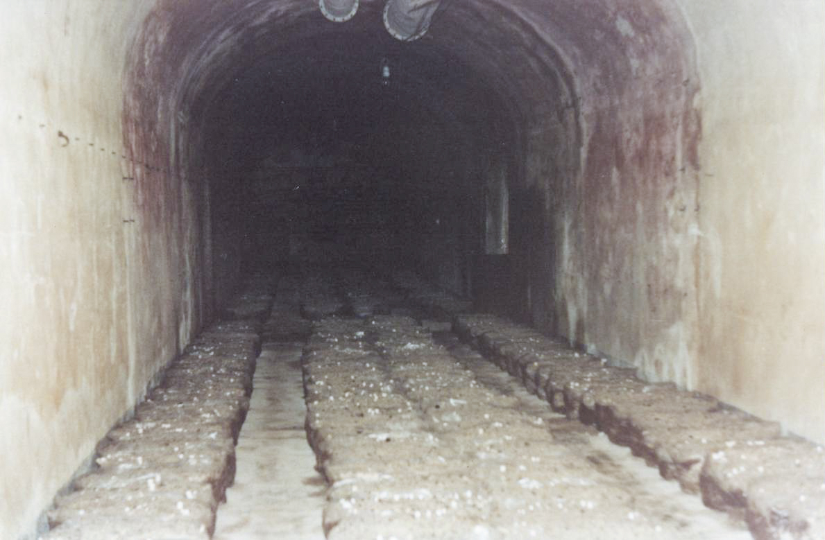 Ligne Maginot - MICHELSBERG - A22 - (Ouvrage d'artillerie) - En 1989 le casernement...en champignonnière - Sebach