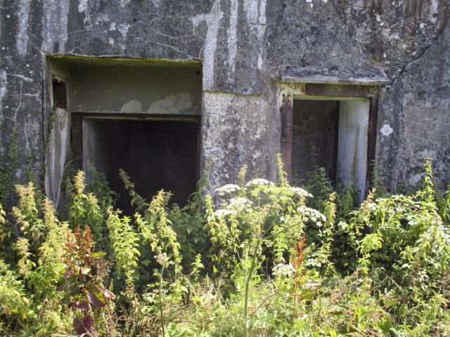 Ligne Maginot - B680 - FAUQUEMONT NORD - (Blockhaus pour canon) - 