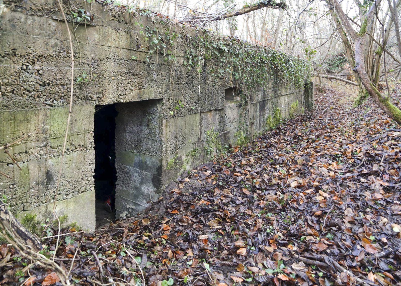 Ligne Maginot - GANZAU NORD - (Abri) - 