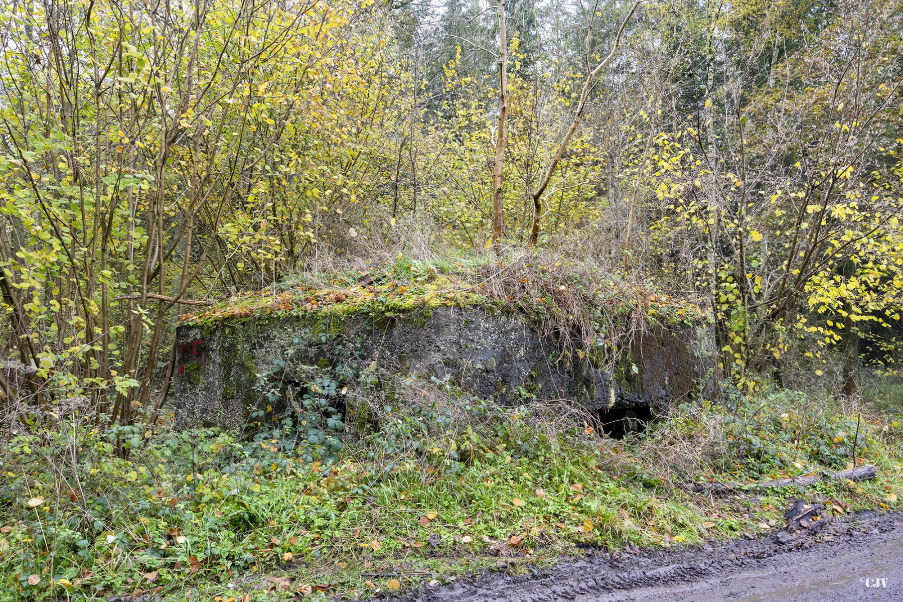 Ligne Maginot - LANIERE OUEST - (Blockhaus pour arme infanterie) -  - Lia VERMEULEN