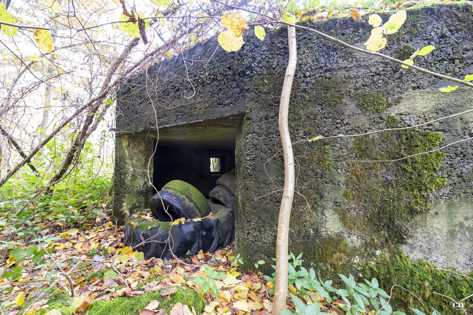 Ligne Maginot - LANIERE OUEST - (Blockhaus pour arme infanterie) -  - Lia VERMEULEN