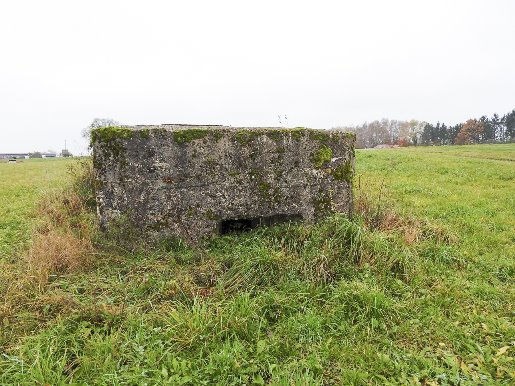 Ligne Maginot - MAYERSBUSCH 2 - (Blockhaus pour arme infanterie) - Le façade de tir.