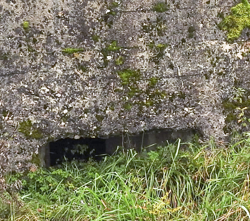 Ligne Maginot - MAYERSBUSCH 2 - (Blockhaus pour arme infanterie) - Le créneaux pour arme d'infanterie.