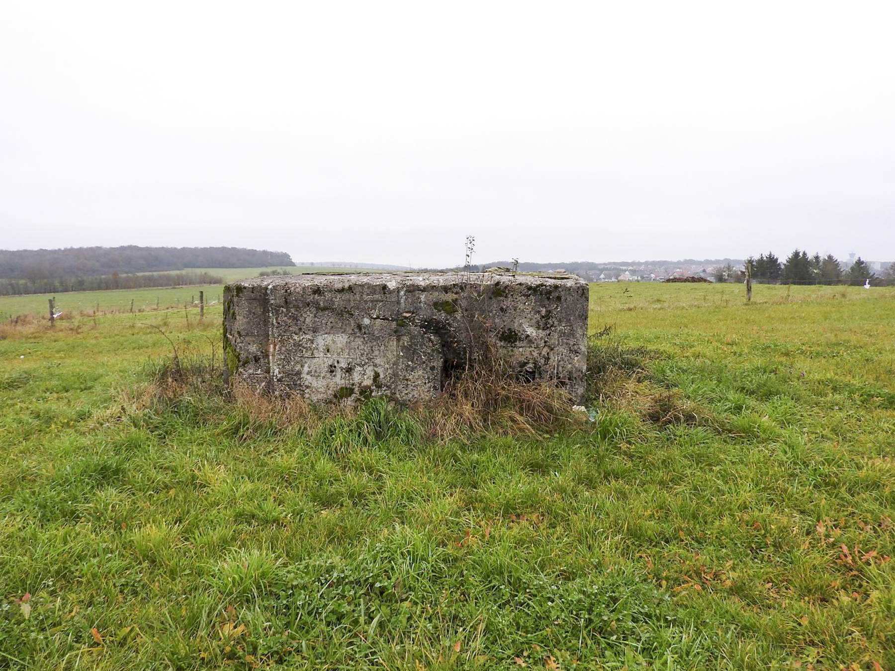 Ligne Maginot - MAYERSBUSCH 2 - (Blockhaus pour arme infanterie) - Le côté de l'entrée remblayée.