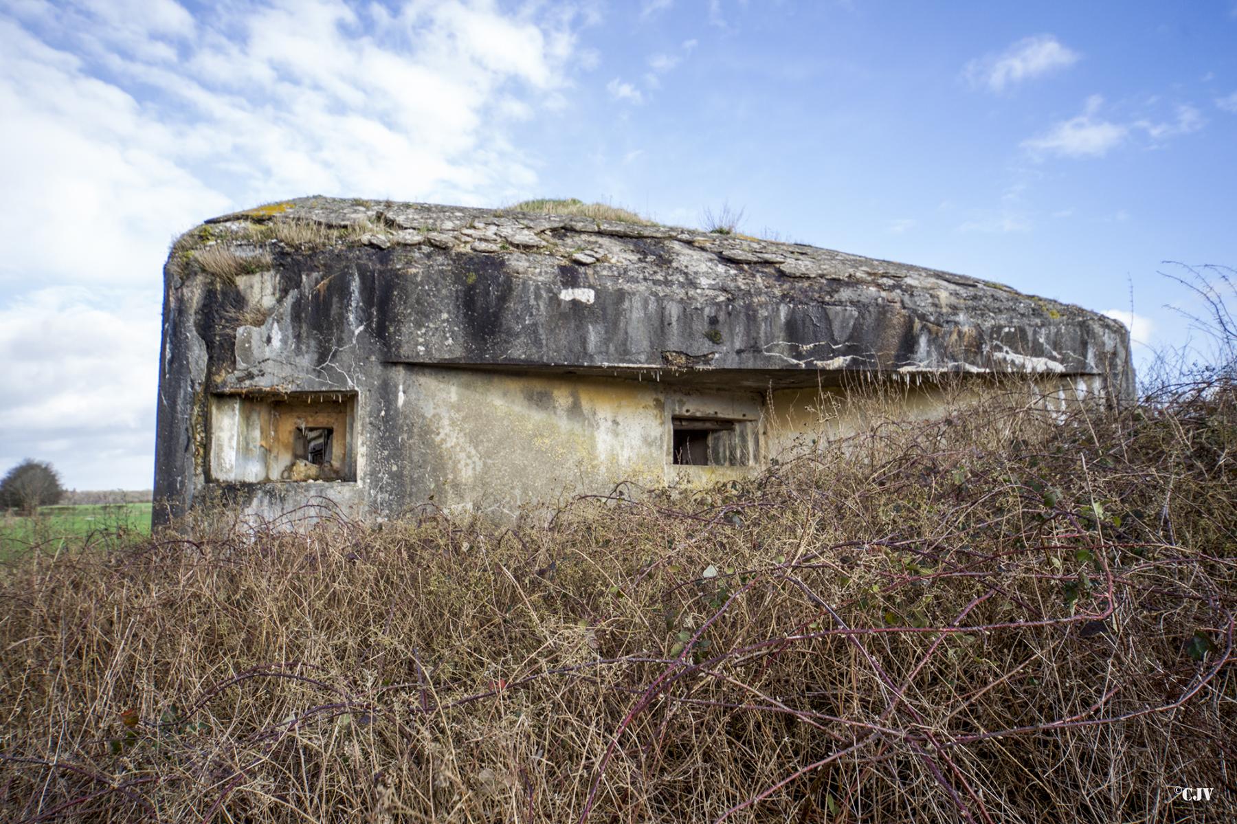 Ligne Maginot - B704 - CHAMPS-ELYSÉES - (Blockhaus pour canon) - 
