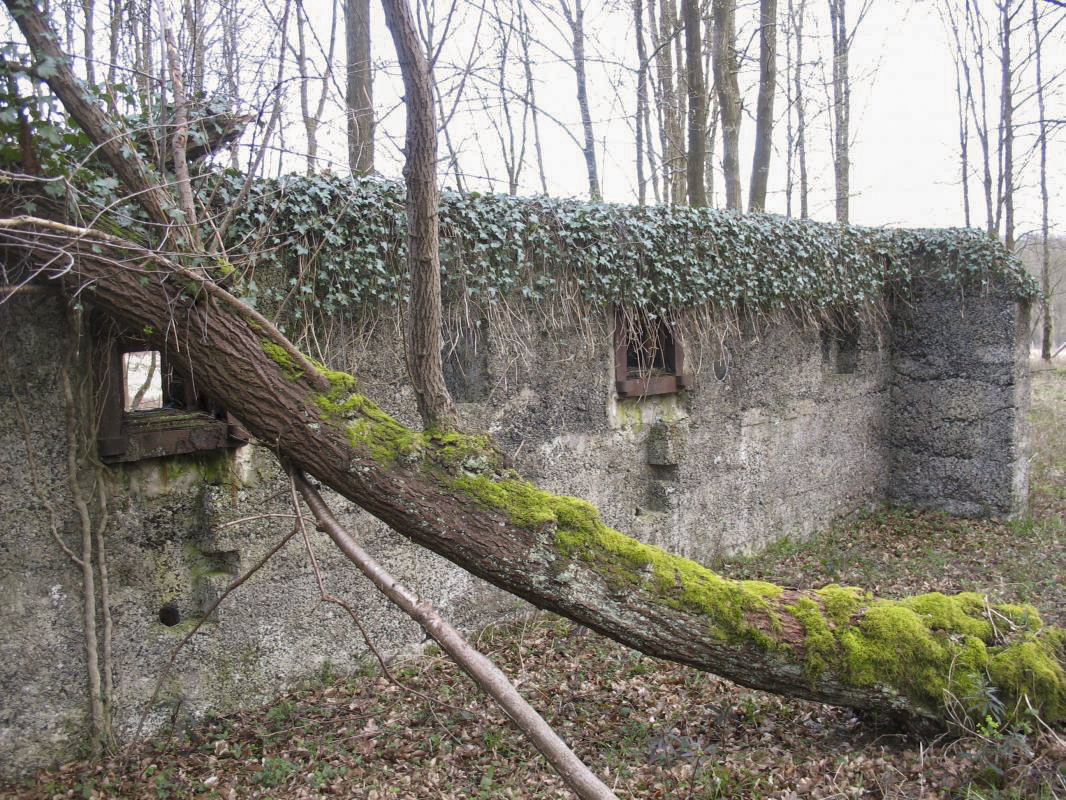 Ligne Maginot - RAUCOURT - (Stand de tir) - Le mur de tir pour armement de forteresse. Vue coté 'intérieur'