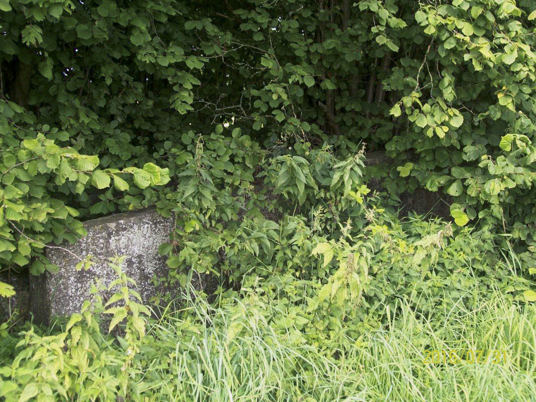 Ligne Maginot - T506 - (Cuve pour arme d'infanterie) - Etat actuel envahissement de la végétation - Eric BEUGNIES