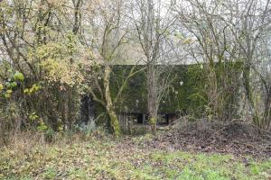 Ligne Maginot - CB294 - PESCH EST - (Blockhaus pour canon) - 