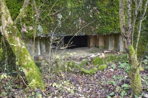 Ligne Maginot - CB294 - PESCH EST - (Blockhaus pour canon) - Le créneau pour le canon