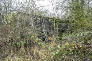 Ligne Maginot - CB294 - PESCH EST - (Blockhaus pour canon) - Face arrière