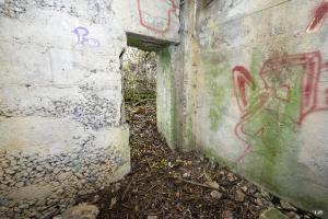 Ligne Maginot - CB294 - PESCH EST - (Blockhaus pour canon) - L'entrée de l'annexe