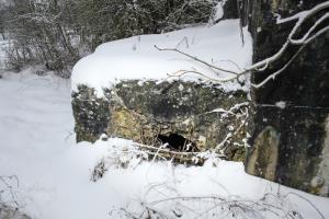 Ligne Maginot - CB286 - PESCH OUEST - (Blockhaus pour arme infanterie) - Un autre créneau de la réalisation annexe