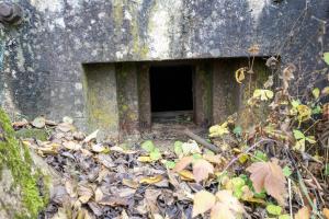Ligne Maginot - CB286 - PESCH OUEST - (Blockhaus pour arme infanterie) - Créneau