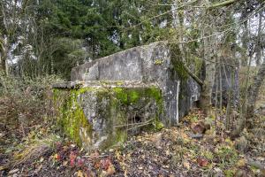 Ligne Maginot - CB286 - PESCH OUEST - (Blockhaus pour arme infanterie) - Créneau de l'annexe droit