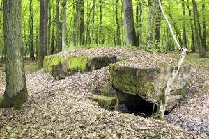 Ligne Maginot - CB81-C - MEIEREI 1 - (Blockhaus pour arme infanterie) - Vue générale