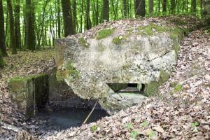 Ligne Maginot - CB81-C - MEIEREI 1 - (Blockhaus pour arme infanterie) - Un des créneaux.