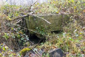 Ligne Maginot - CB81-C - MEIEREI 1 - (Blockhaus pour arme infanterie) - Le blockhaus disparaît sous les ronces