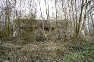 Ligne Maginot - ELESMES - (Blockhaus lourd type STG / STG-FCR - Double) - 