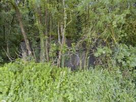Ligne Maginot - A97 - LE MESNIL SUD - (Casemate d'infanterie) - 
