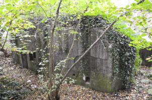Ligne Maginot - HABERHAEUSER 1 - (Blockhaus pour arme infanterie) - Vue arrière, avec de gauche à droite : l'entrée sans porte, le créneau de défense rapprochée, une évacuation et la goulotte pour les grenades.