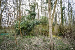 Ligne Maginot - B638 - PETIT BOSQUET - (Blockhaus pour canon) - La face avant