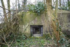 Ligne Maginot - B638 - PETIT BOSQUET - (Blockhaus pour canon) - Un des créneaux de flanquement