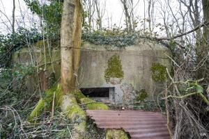 Ligne Maginot - B638 - PETIT BOSQUET - (Blockhaus pour canon) - Un des créneaux de flanquement