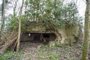 Ligne Maginot - B638 - PETIT BOSQUET - (Blockhaus pour canon) - L'entrée est endommagé