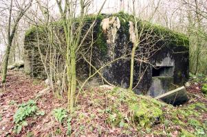 Ligne Maginot - B652 - REDOUTE DE ROCQ SUD - (Blockhaus pour canon) - Le créneau principal