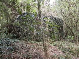 Ligne Maginot - B652 - REDOUTE DE ROCQ SUD - (Blockhaus pour canon) - 