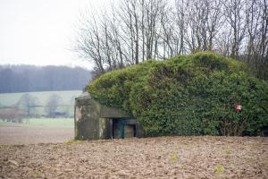 Ligne Maginot - B672 - TOUS-VENTS NORD - (Blockhaus pour canon) - 