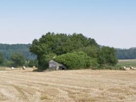 Ligne Maginot - B672 - TOUS-VENTS NORD - (Blockhaus pour canon) - 