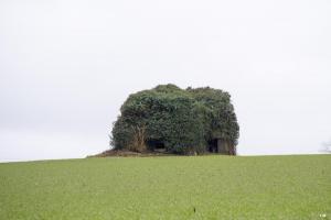 Ligne Maginot - B673 - TOUS-VENTS SUD - (Blockhaus pour canon) - 