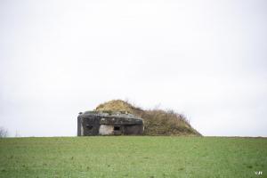 Ligne Maginot - B674 - PETIT BRANLEUX (Blockhaus pour canon) - 