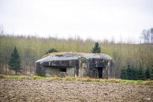 Ligne Maginot - B675 - COLLERET NORD - (Blockhaus pour canon) - 