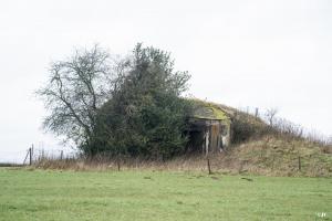 Ligne Maginot - B698 - BOUT D'EN-HAUT SUD - (Blockhaus pour canon) - 