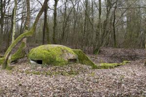 Ligne Maginot - CT73 - (Cuve pour arme d'infanterie) - Vue générale de l'observatoire.