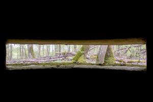 Ligne Maginot - CT73 - (Cuve pour arme d'infanterie) - Vue à travers le créneau principal de l'observatoire