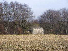 Ligne Maginot - B715 - Les PIERRES SAINT MARTIN (Blockhaus pour canon) - 