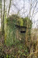 Ligne Maginot - B716 - LES HERELLES - (Blockhaus pour canon) - 